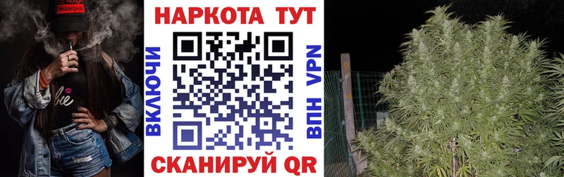 Сколько стоит Алзамай A-PVP COCAIN ГАШ Меф мяу мяу БУТИРАТ Бошки Шишки