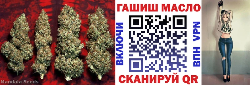 ТГК вейп с тгк  как найти наркотики  Алзамай 