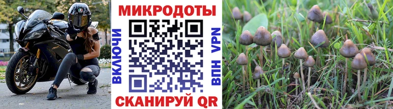Псилоцибиновые грибы Cubensis kraken ССЫЛКА Алзамай